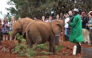Flying Doctors Mission Trip to Kenya, Africa